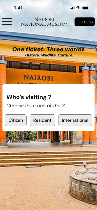 Visitor type selection — Citizen, Resident, International