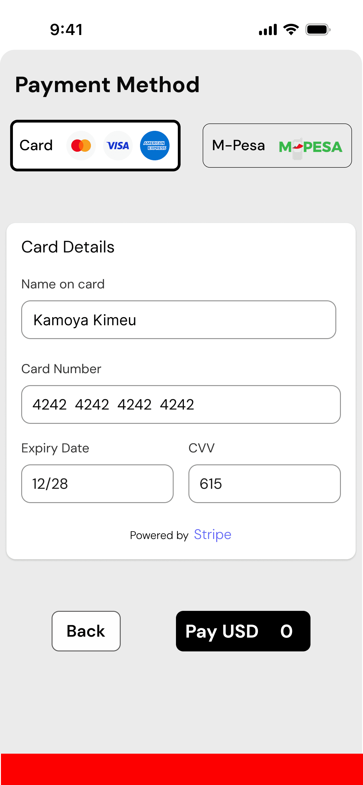 Card payment details entry